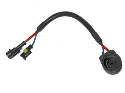 LAMPUNKANTA D2S/R XENON-POLT.