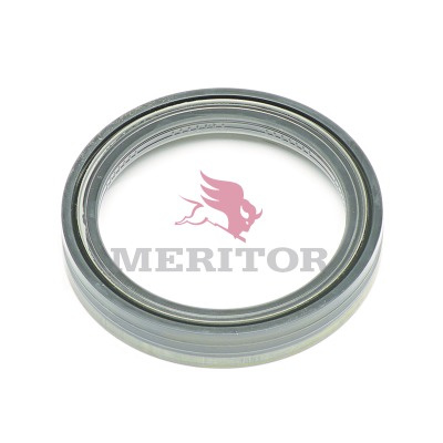 MERITOR ROR AKSELITIIVISTE LM/TM