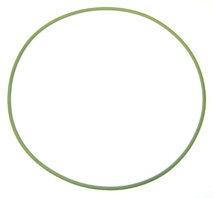 ELRING O-RENGAS 164X3MM FPM