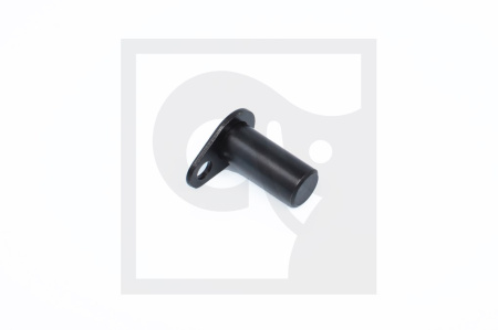 PIN