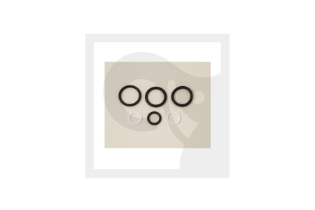 ZEPRO O-RING SET VALVE 21621